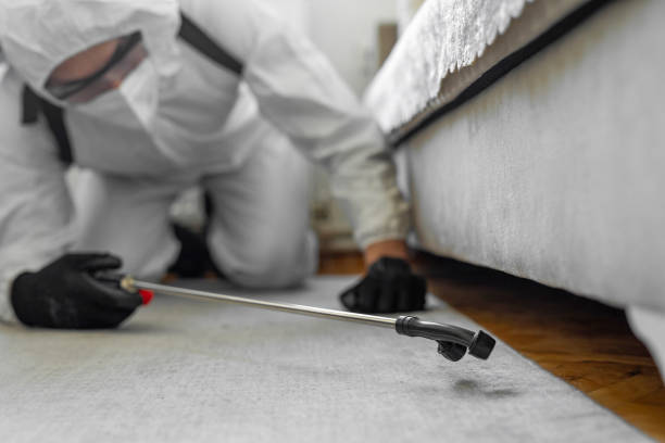Professional Ant Control technician working in Highlands Ranch, CO