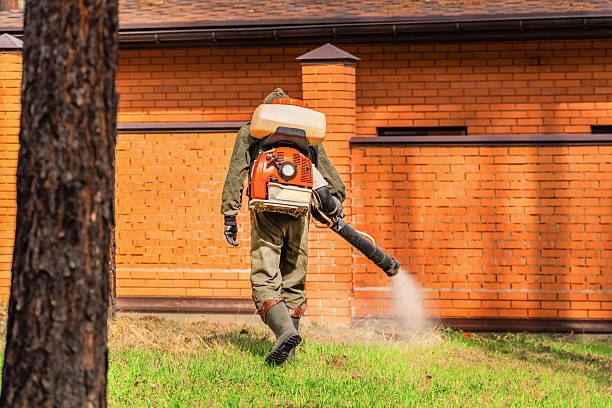Trusted Cockroach Control service in Highlands Ranch, CO - Nex Pest Control